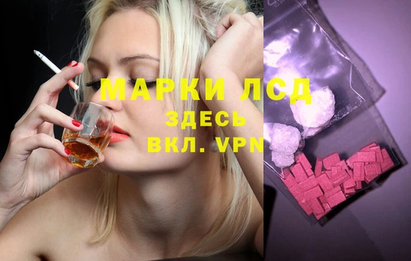 стафф Алзамай